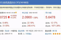 161903基金今天最新净值查询,市场动态与投资策略解析