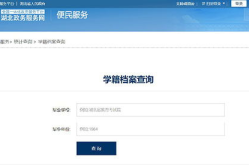 个人档案查询网上查询,网上查询途径与注意事项