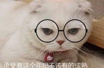 娱乐吃瓜君说刘二豆没了,娱乐吃瓜君揭秘背后真相