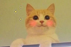 猫猫永不为奴娱乐吃瓜酱,揭秘娱乐圈幕后趣闻